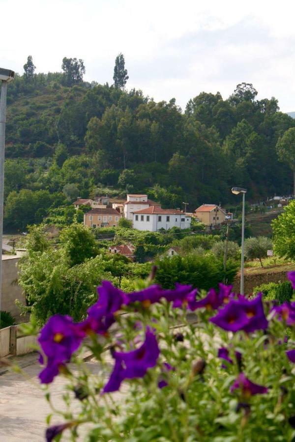 Pensjonat Casa No Douro Mesão Frio Zewnętrze zdjęcie