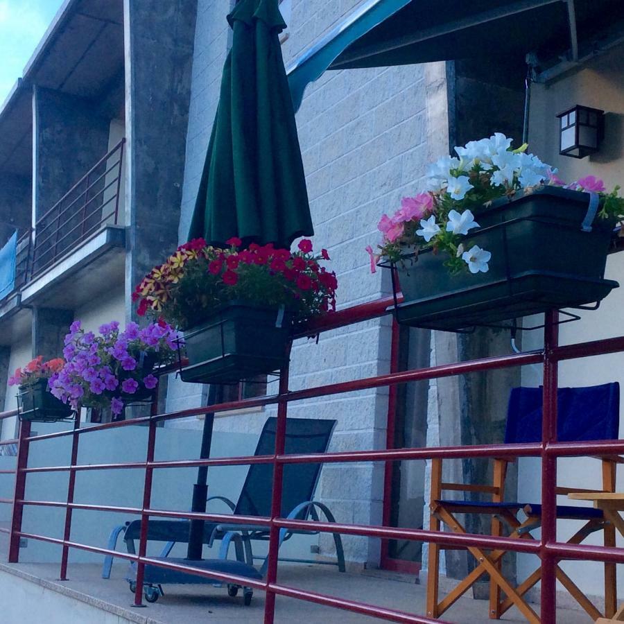 Pensjonat Casa No Douro Mesão Frio Zewnętrze zdjęcie